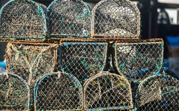 The Brudenell Hotel, nets on the beach