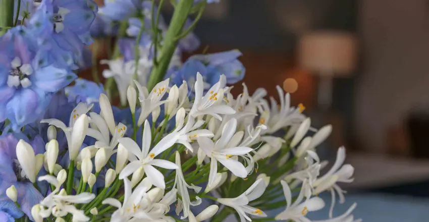 The Brudenell, Aldeburgh, flowers in hotel room voucher