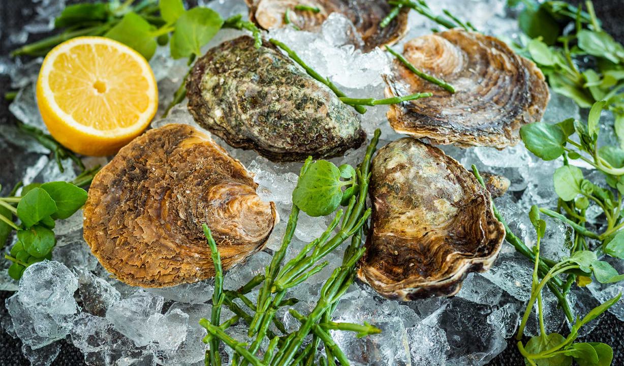 The Brudenell Hotel, Seafood & Grill, Aldeburgh, fresh oysters