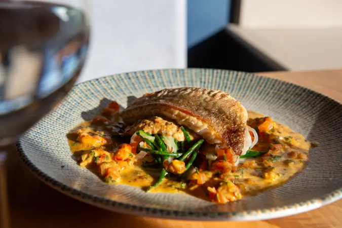 South Coast Gurnard