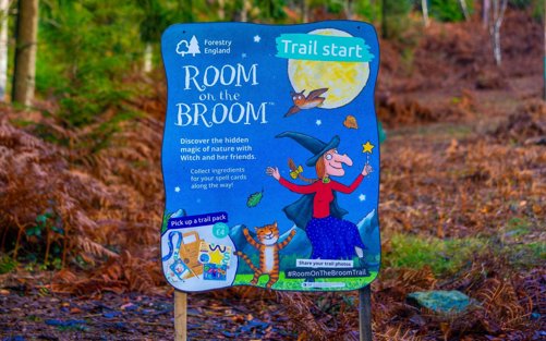 Rendlesham Forest Room On The Broom Trail
