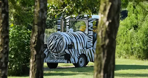 Africa Alive Zebra Train