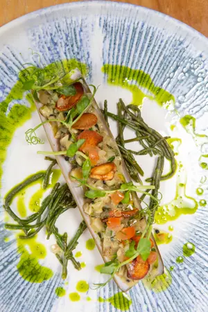 Razorclam