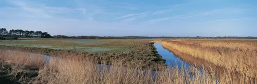 North Warren, RSPB, Photo By Andy Hay, RSPB